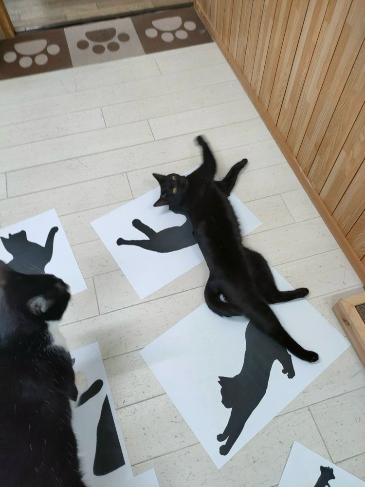 自分も図案のモデルになりたかったようだ…。