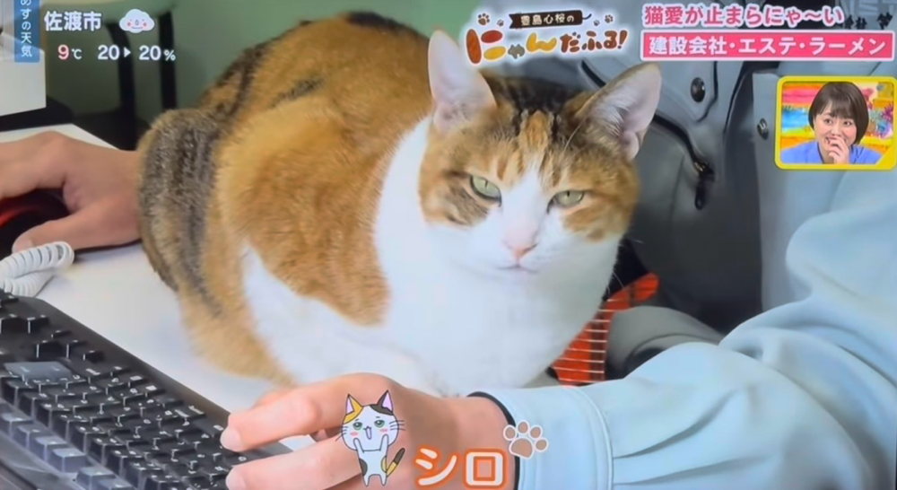 シロ「ここは渡さないわ…」(目力怖怖ww)