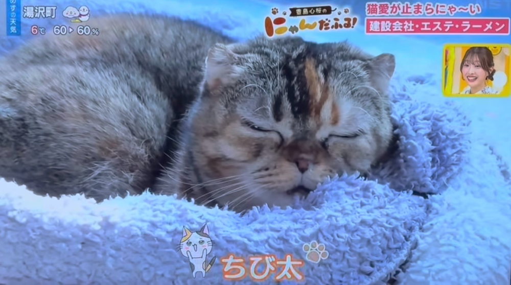 TVで鼻ちょうちんをお披露目したちび太(笑)