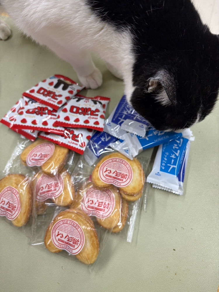 逆にお菓子もらっちゃった！！！ありがとう！