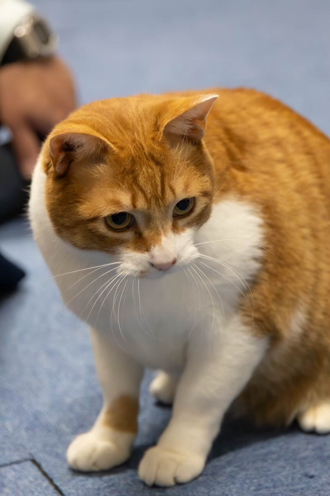 思いのほか…ふくよかになったちょぽ鉄w