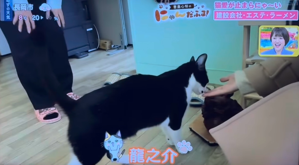 ウロウロして自分から出番をゲットした？！龍之介(笑)