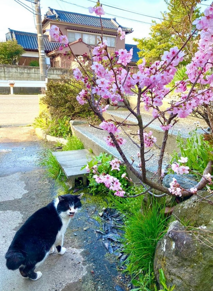 ただいまー！(早っ) 