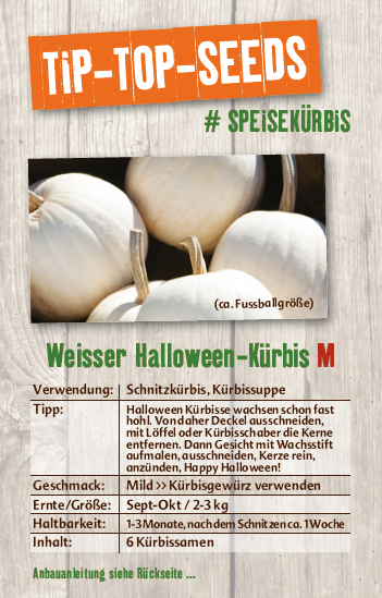 halloween kürbis saatgut Halloween-Kürbis | Magician F1 - PMT main image 1