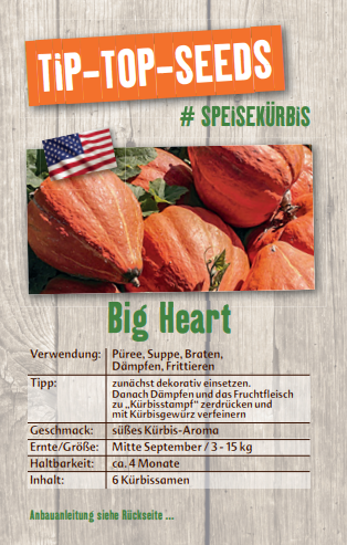 Saatgut Big Heart - Pumpkin24 Krbisprodukte