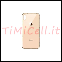 Riparazione vetro posteriore iPhone Xs