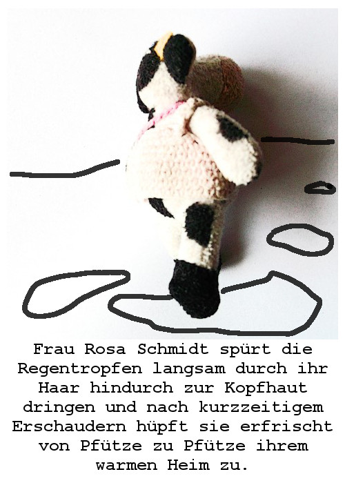 Situationen aus dem unwahrscheinlich poetischen Leben  der Frau Rosa Schmidt  VIERTE TÜTE