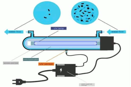 EVERLIGHT UV Lampe zur Wasserdesinfektion 