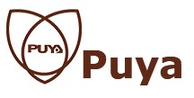 Puya Semiconductor – Non-volatile memory chips