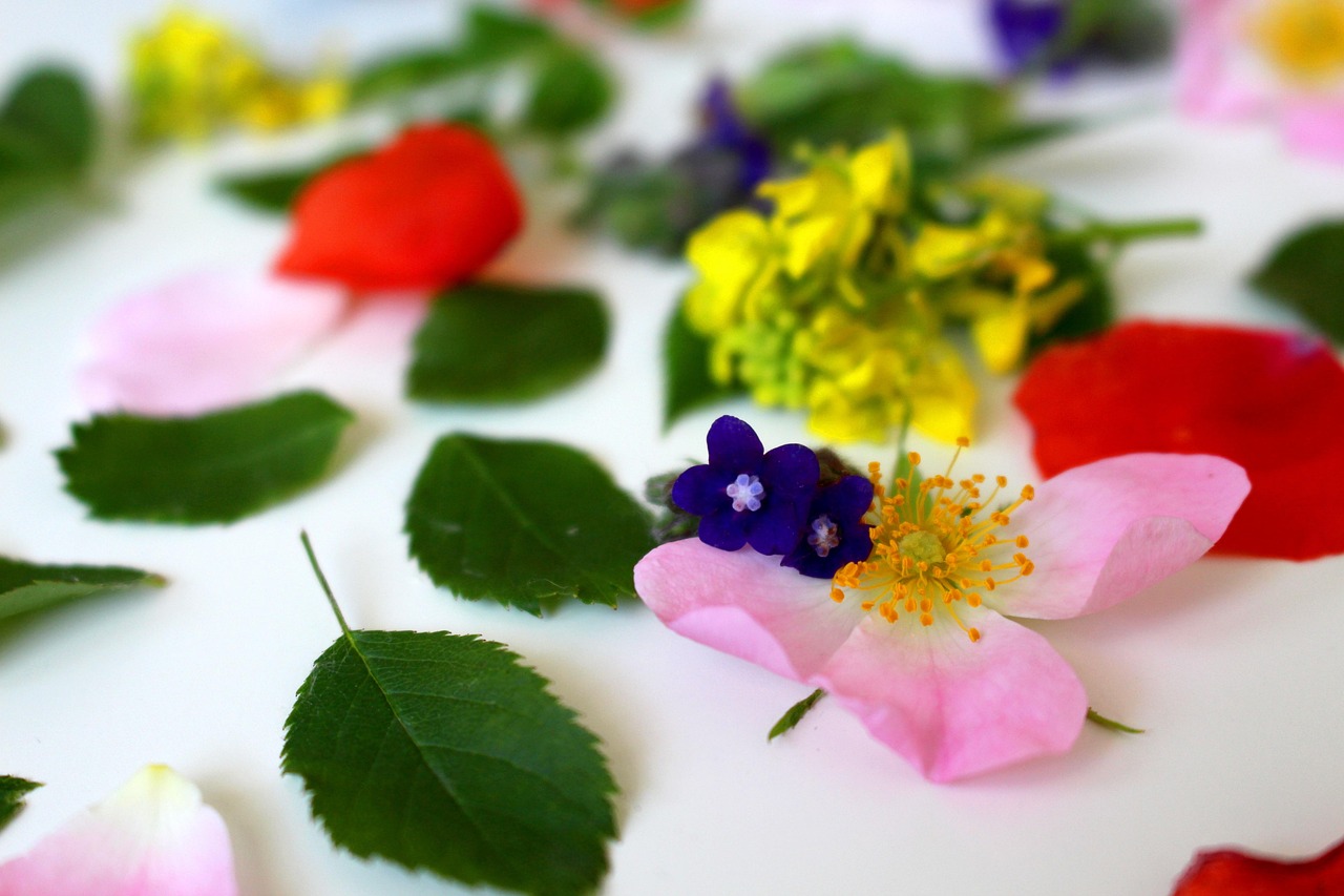 Fleurs de Bach : Le Guide Complet pour Harmoniser vos Émotions et Retrouver l'Équilibre