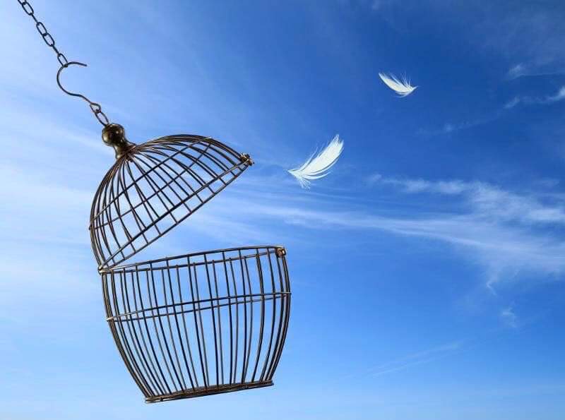 LÂCHER-PRISE ET LIBERTÉ