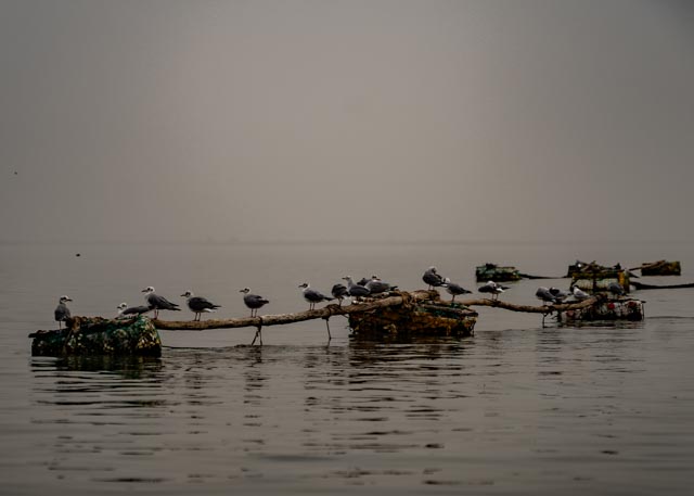 Fast kein Unterschied vom Wasser zum Himmel