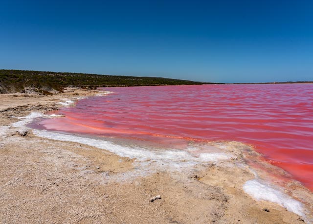 Pink Lake Salzsee bei Gregory