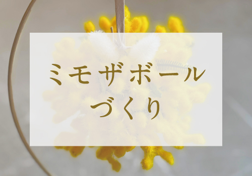 【ワークショップ開催】2月28日 ミモザボールづくり