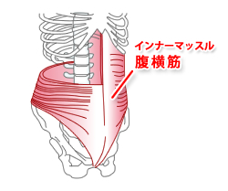 インナーマッスル　腹横筋