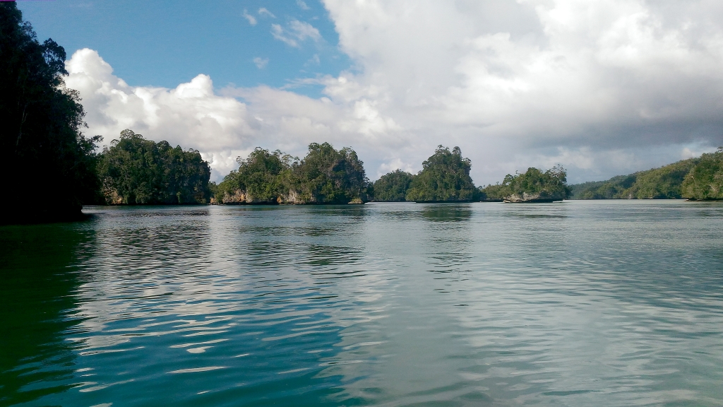 Raja Ampat (West-Papua)