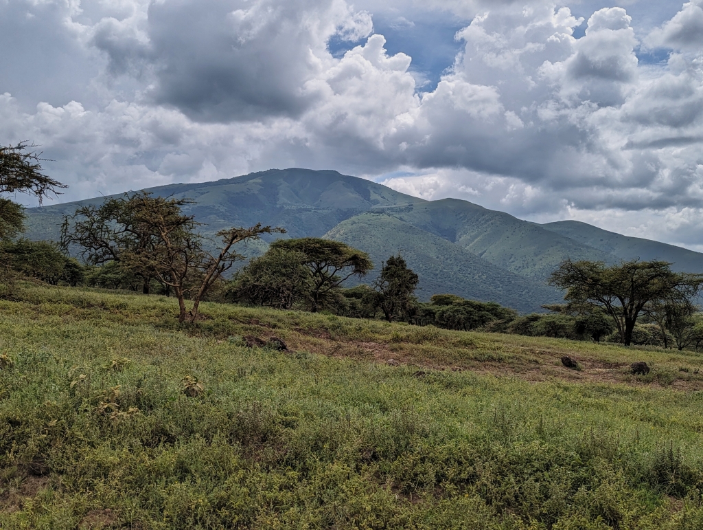 Jetzt beginnt das Erklimmen des Ngorongoro Kraters