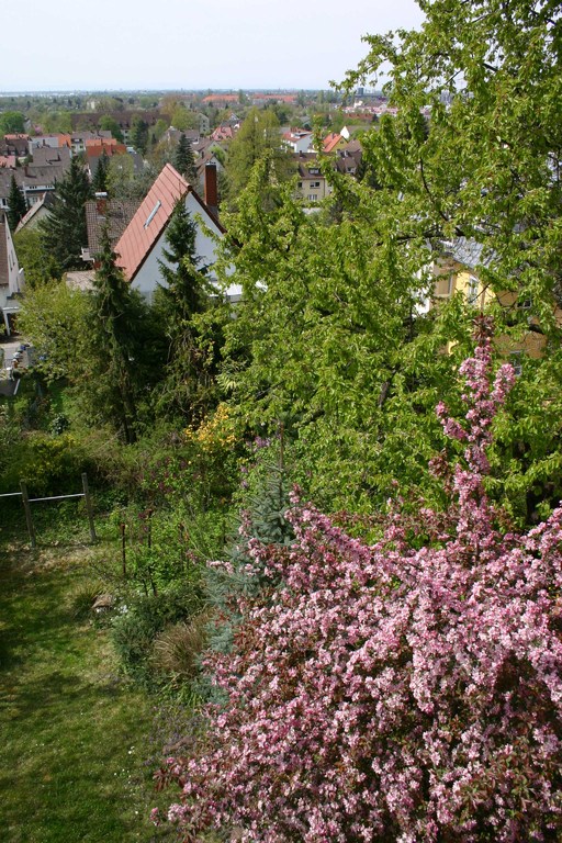 Blick: Garten im April