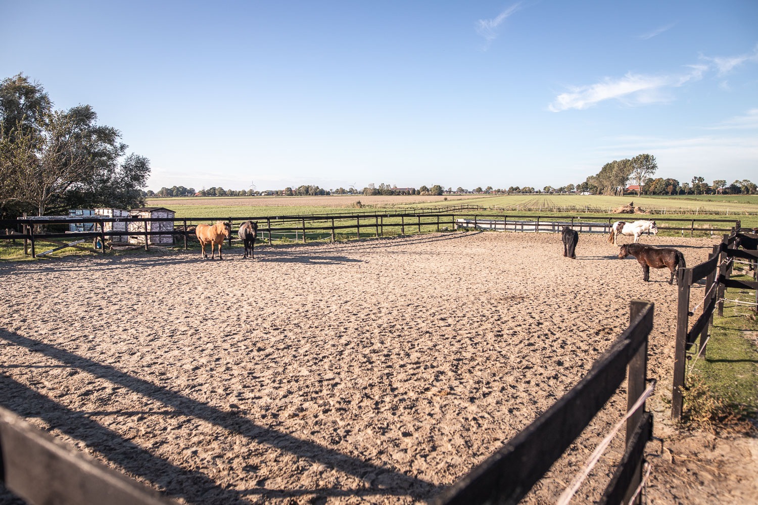 Der Reitplatz/Paddock