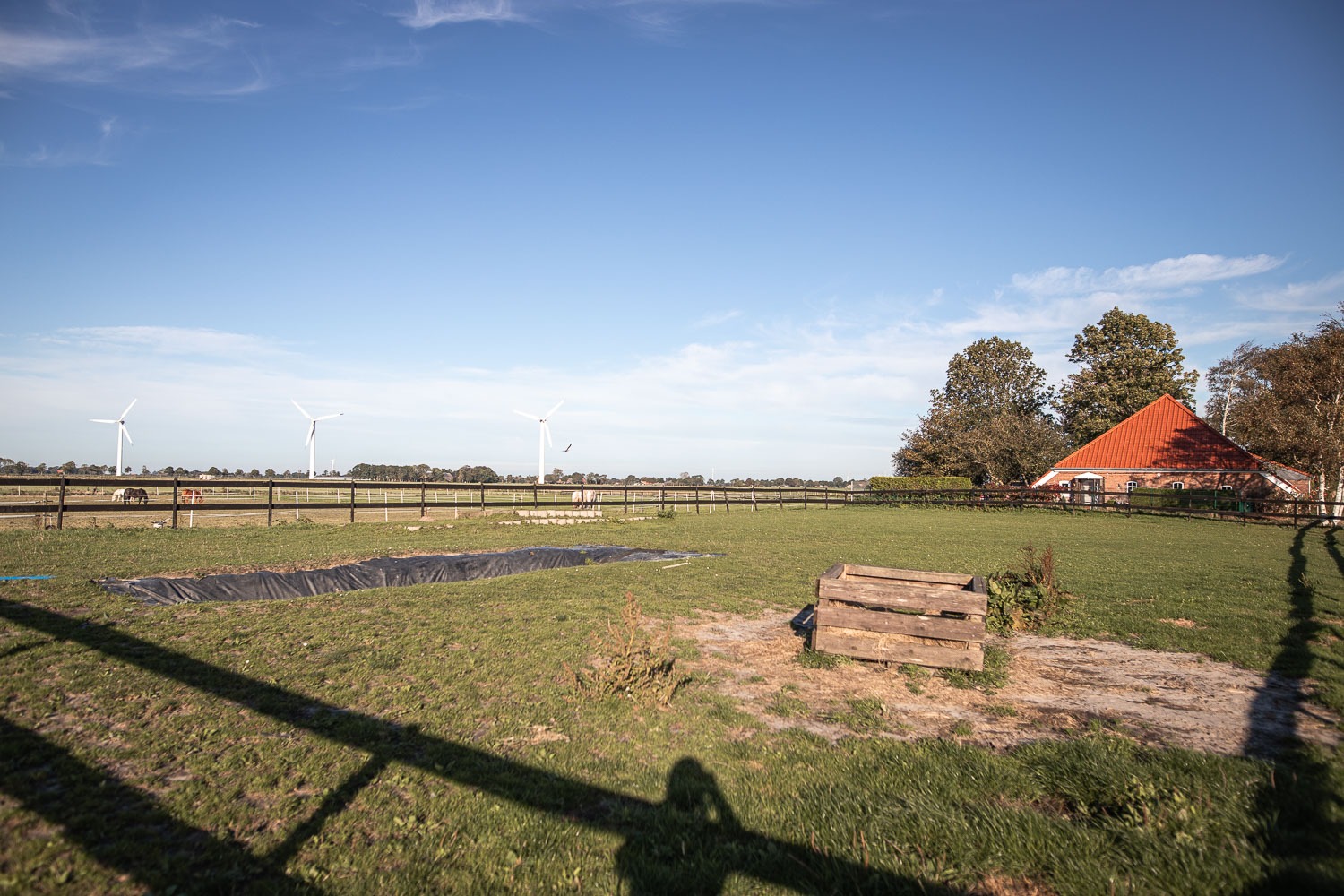 Der Geländeplatz/Paddock