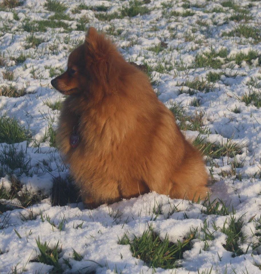 Möppi