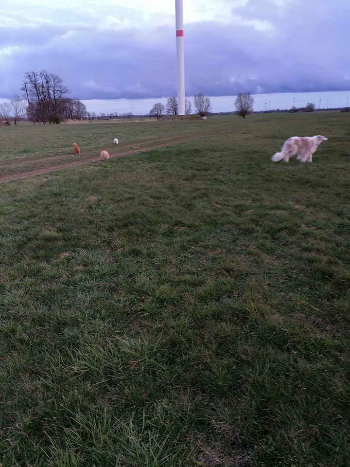 Unterwegs...