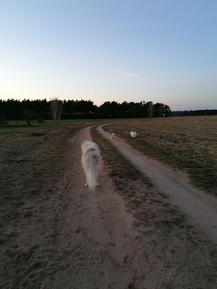 Unterwegs...