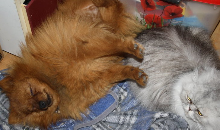 Möppi mit Kater Nabucco