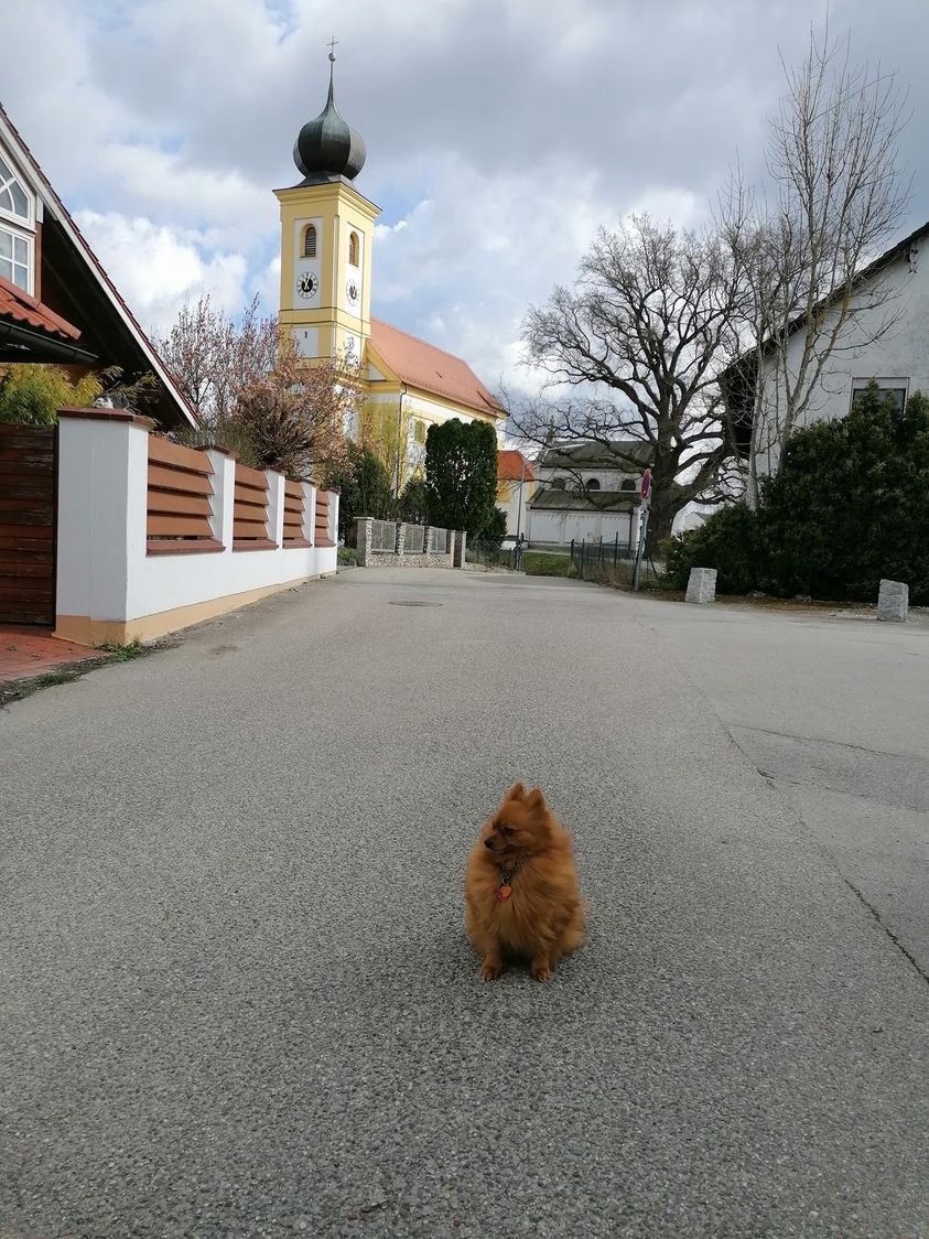 Möppi