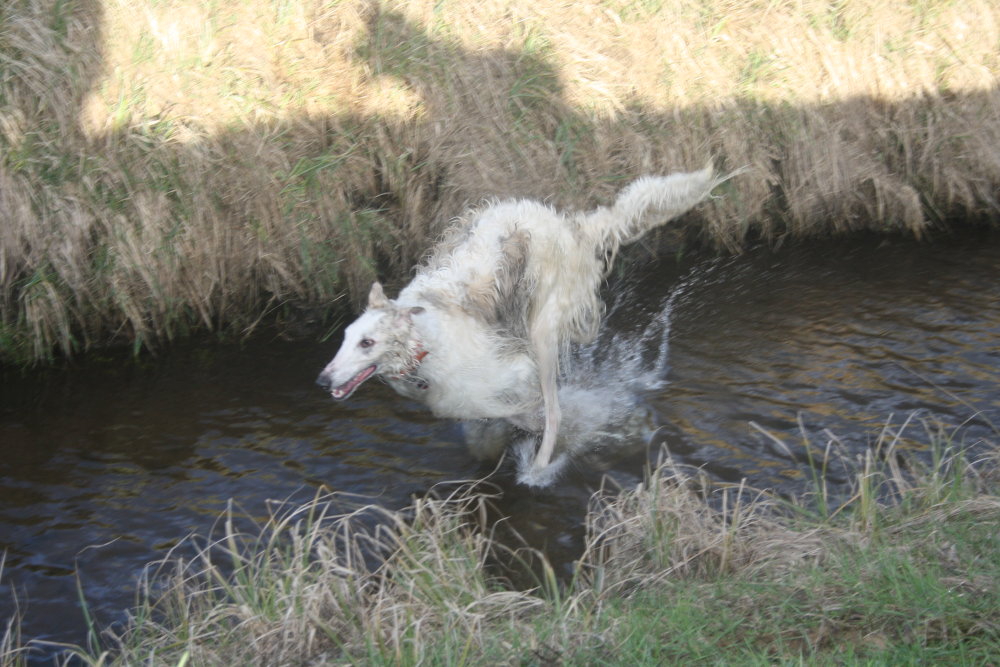 Kneippsches Wassertreten auf "igorisch"