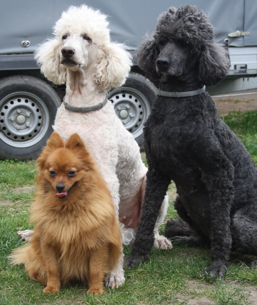 Möppi mit Maruschka und Galina