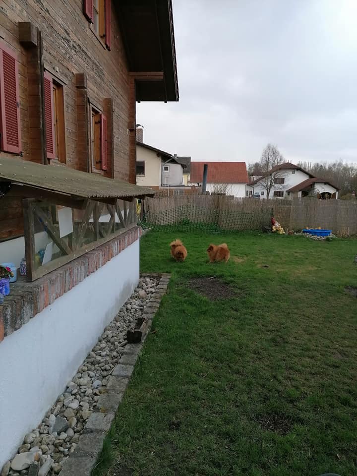 Die Verliebten im Garten