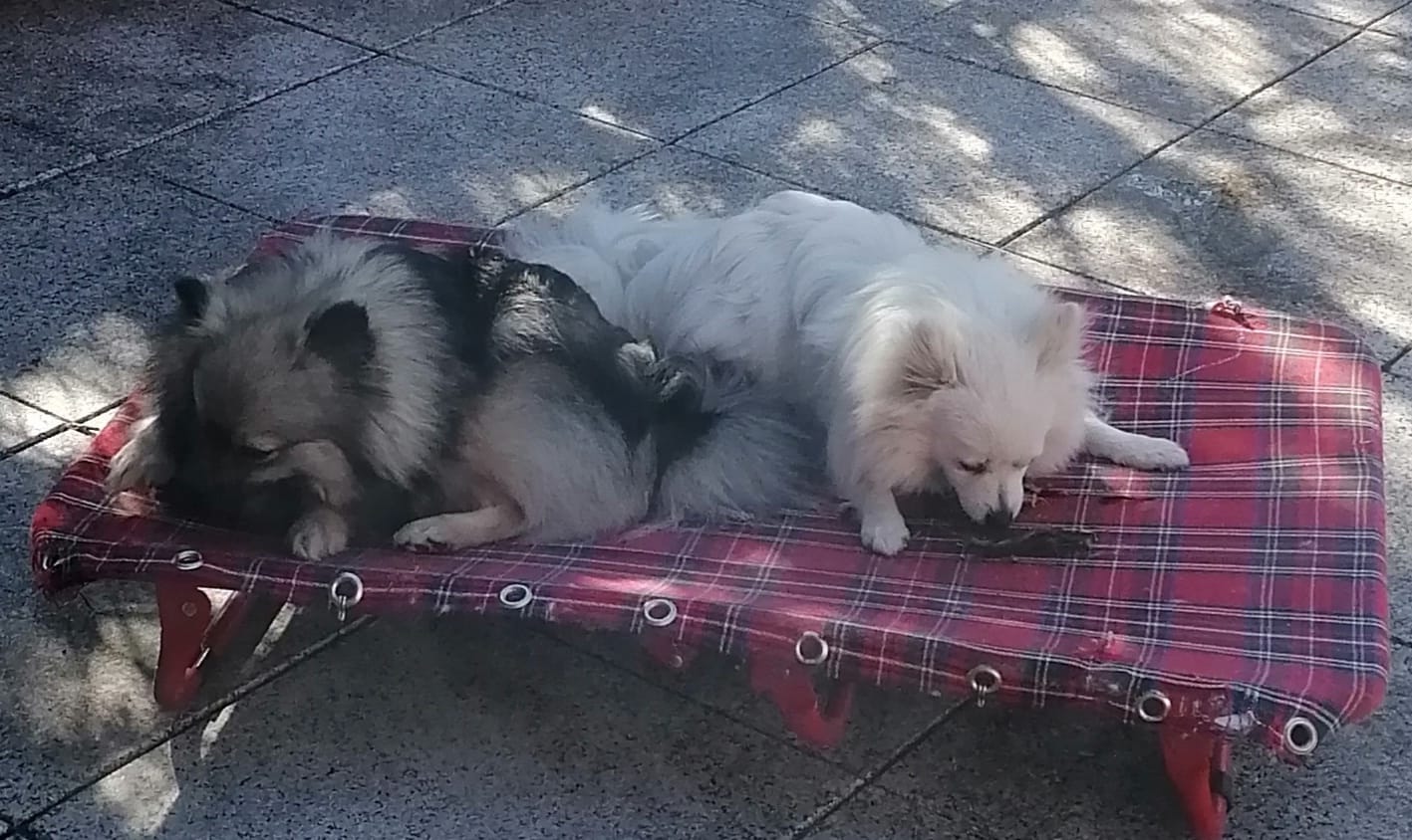 Scully und Gisela