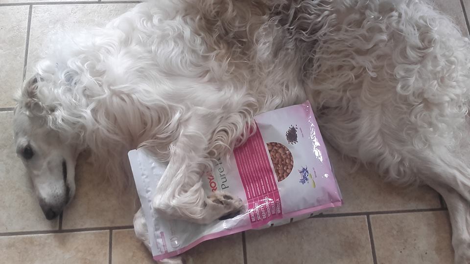 Mit einer Tüte Katzenfutter im Arm schläft es sich besser. 