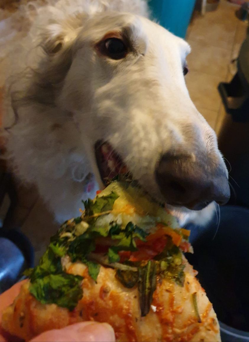 Lecker Pizza