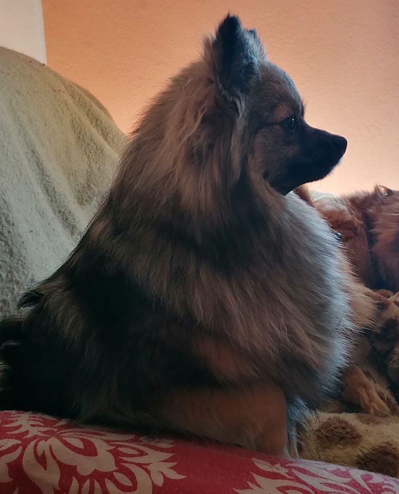 Scully
