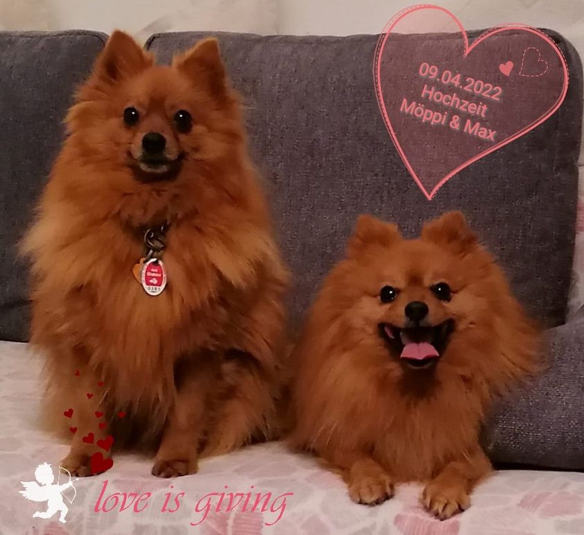 Das Brautpaar Möppi & Maxi