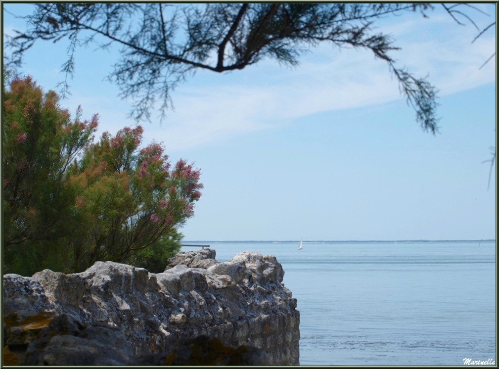 Vue sur La Gironde depuis les fortifications de Talmont -sur-Gironde (Charente-Maritime)