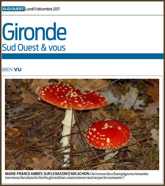 Photo Marinelle sur Journal Sud-Ouest, page Gironde, édition du 11/12/2017