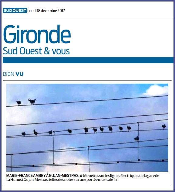 Photo Marinelle sur Journal Sud-Ouest, page Gironde, édition du 11/12/2017