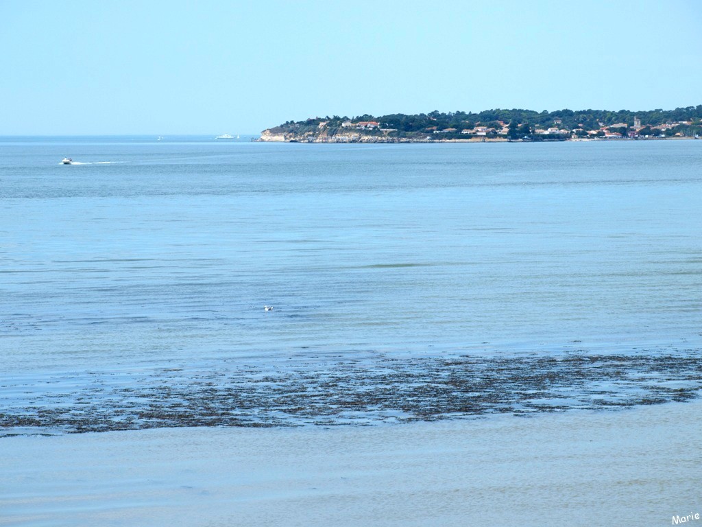 Vue sur La Gironde et Meschers-sur-Gironde en toile de fond depuis Talmont-sur-Gironde (Charente-Maritime)