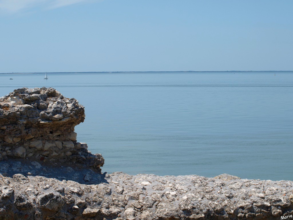 Vue sur La Gironde depuis les fortifications de Talmont-sur-Gironde (Charente-Maritime)