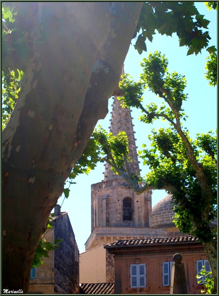 Clocher de la Collégiale Saint Martin à Saint Rémy de Provence, Alpilles (13)