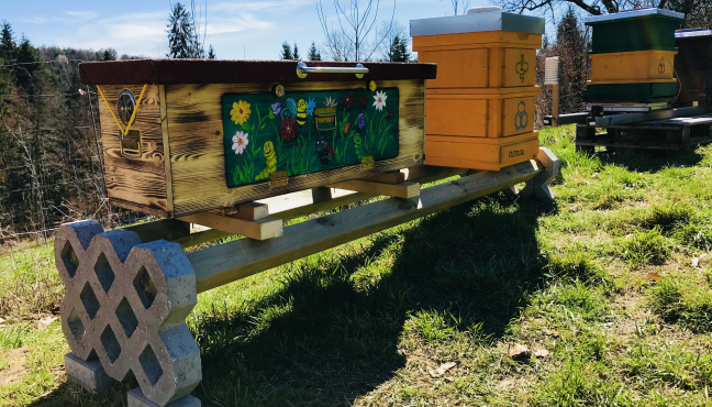 Bienenhaus Classic in Österreich - Mit Liebe bemalt