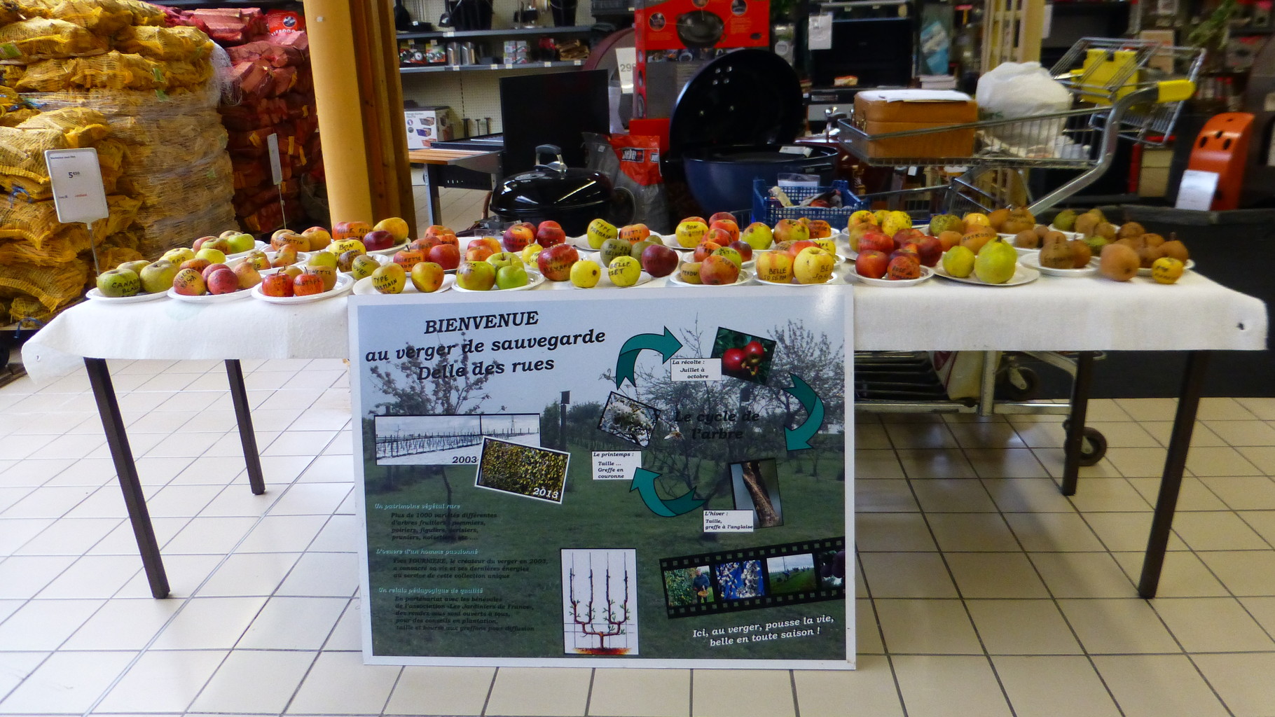 La table des fruits et le panneau d'accueil du verger