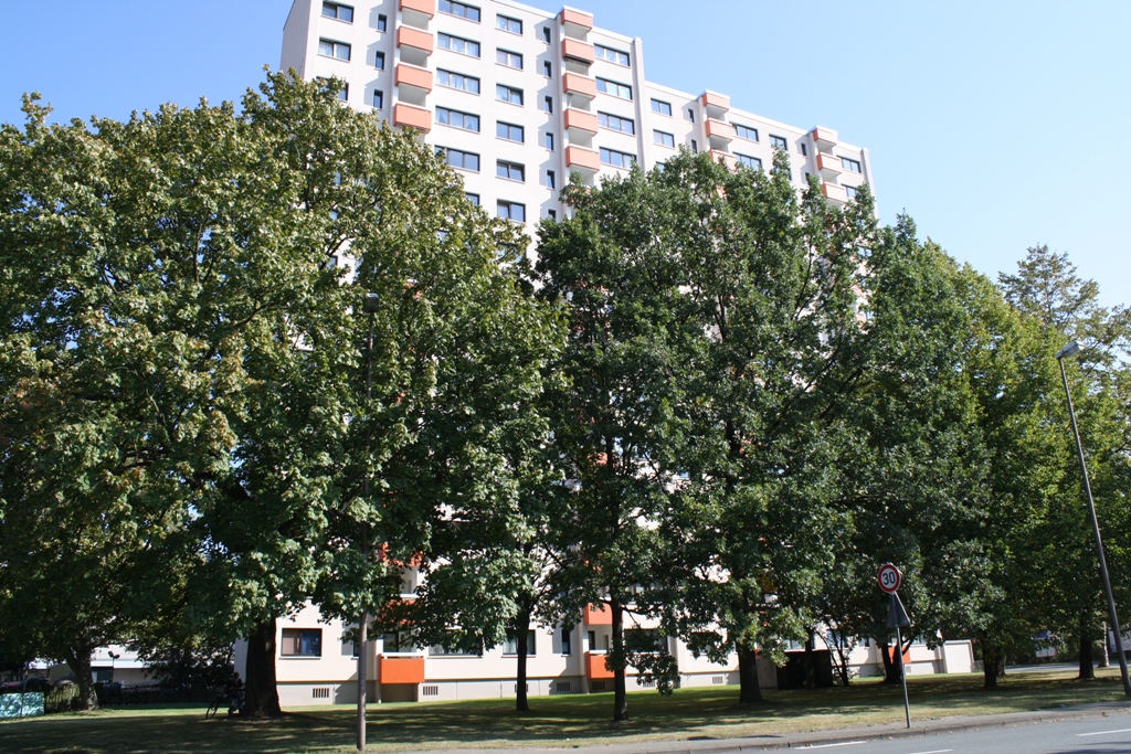 2-Zimmer-Wohnung in Peine