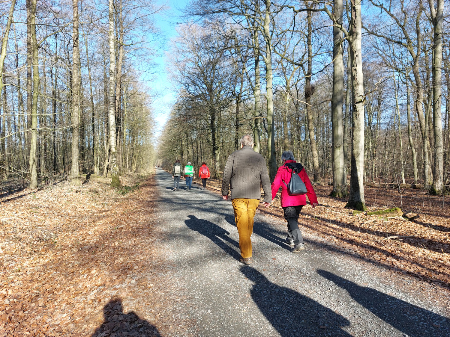Waldspaziergang am 01. März 2026