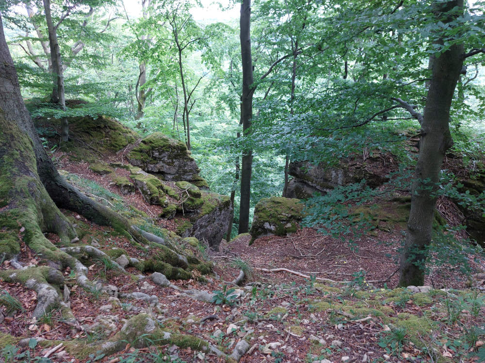 Impressionen 2025