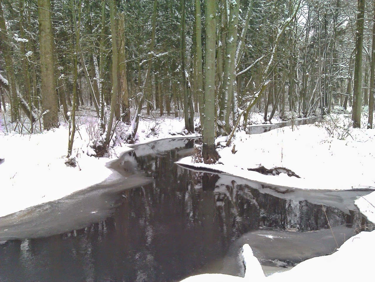 ~ Bild: Die Oste bei Sittensen im Winter ~