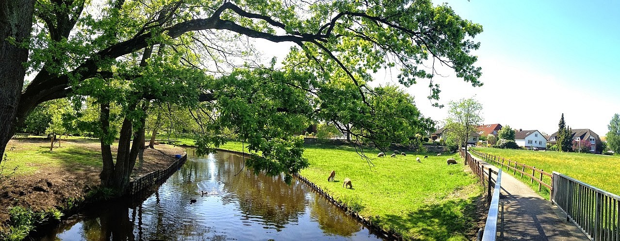 ~ Bild: Pano(d)rama Die Oste bei Sittensen ~